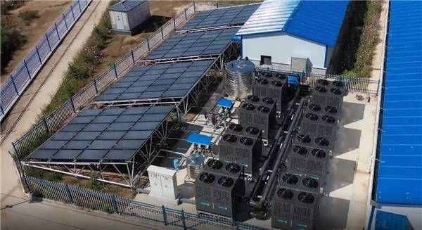 消费观察:四季沐歌如何为“农牧渔”领域提供专业技术支持?