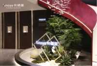 首日盛况|卡诺亚耀世绽放广州建博会