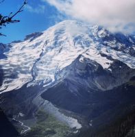 共赴雷尼尔山之约,贾锋的攀登之路不止在脚下