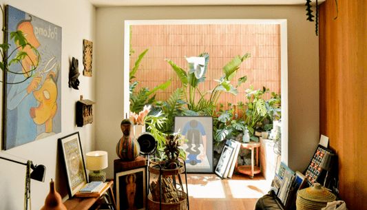 COLMO超级用户:冯驌在北京地下室打造热带雨林式家庭空间