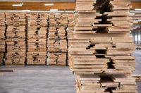 探索BJELIN工厂|揭秘生产背后的可持续发展理念