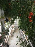 “雪龙2”号犁海破冰抵达南极,四季沐歌空气能持续书写温暖南极新篇章