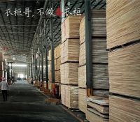 福临福衣柜哥私人定制家居,让你拥有健康愉悦家居新体验