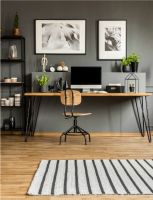 TIKKURILA芬琳漆，解读奇妙的光泽美学