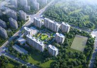 大兴发展·亦生共悦项目开工奠基仪式隆重举行！