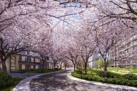 缦云one｜新北京CBD生活方式．骑遇「通利福尼亚」