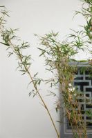 李忠信红木 | 素物，唤回对生活的热忱