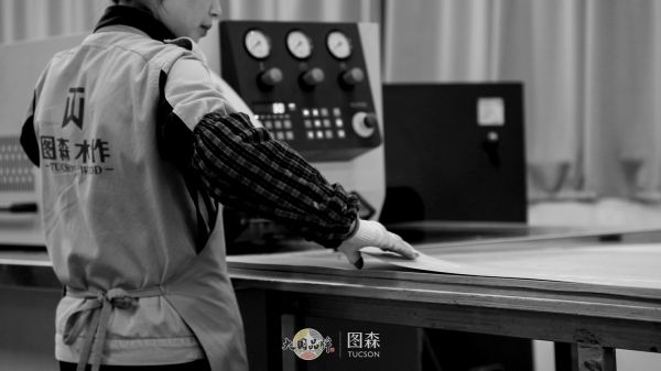 做好一件事:匠心图森,构建理想家