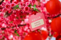家，因你而生 ——给新年更多心意，物超所值共享团圆
