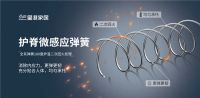 四十年风华正茂，星港家居以青春之名再出发
