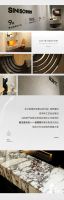 前瞻美学 质感呈现 | 新岩素 x 2025厦门国际石材展