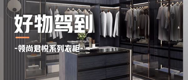 好物驾到 丨领尚君悦系列衣柜，带您找回生活的秩序感