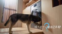 三星AI神 黑钻热泵洗烘旗舰：用智慧科技开启衣物高效洁净新篇章