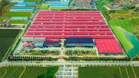 巧夺天工红木陈树娟：五大破局路径，重构红木价值
