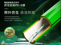 守护美好人居 中国联塑创新构筑品质生活新范式