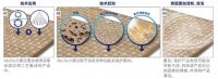 妙抗保®将亮相第三十七届中国国际橡塑展，携先进创新产品保护技术助力可持续发展