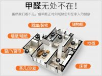 品质与环保双驱动|雪宝板材荣获第十届“中品榜”板材十大品牌