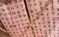 唐姆生态园：从产业升级到生态赋能，一座园区的多维价值重构