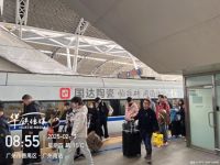 【春运收官 暖心随行】 国达陶瓷搭乘高铁快车，再筑品牌发展新高地