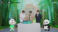 第11届世界无醛日|M.LanPanda萌兰入职好莱客，携手陈坤共掀全民环保热潮