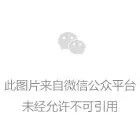 第137届广交会第二期圆满落幕 金湖彩铝集团闪耀展会彰显“中国智造”风采