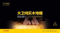 2025品质严选季 | 大卫地板：绿色匠造，焕新有礼