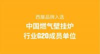 西屋壁挂炉登榜“中国十大品牌”：百年科技积淀铸就行业标杆