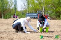 绿色转型浪潮下的企业担当：欧大师门窗以行动诠释低碳未来
