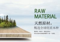 环保创新双驱动，天山板材书写发展辉煌新篇