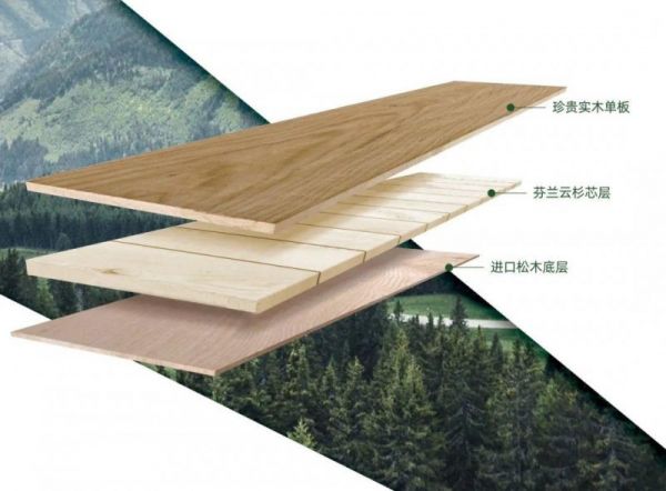 安信白蜡木地板，以自然之美重构现代家居的诗意栖居