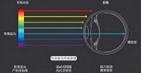 爱眼日特别关注：当我们在看屏幕时，眼睛正在经历什么？