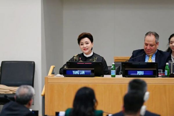 杨澜联合国诠释中国匠心 左右沙发六大工艺让世界看见“器以载道”