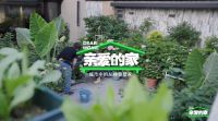 TOTO助力《亲爱的家》温暖绽放，科技与人文守护三代叠墅之家美好生活