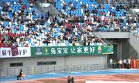 “苏超”爆火出圈，兔宝宝跨界助燃全民狂欢