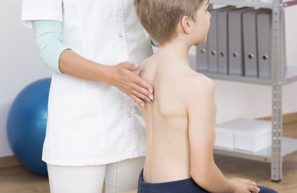 斯丽比迪护脊床垫：重塑青少年脊柱健康