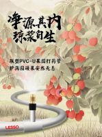 想实现荔枝自由？联塑管道：安排！