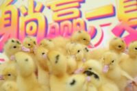 这届商业，开始“养人”了