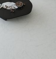 5A匠心・美好家空间新品交付大使丨陈亚统：三十五载砖上光阴，用专注回应每份信任