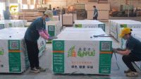 森富力板材：蝉联十大品牌，以全产业链实力引领行业