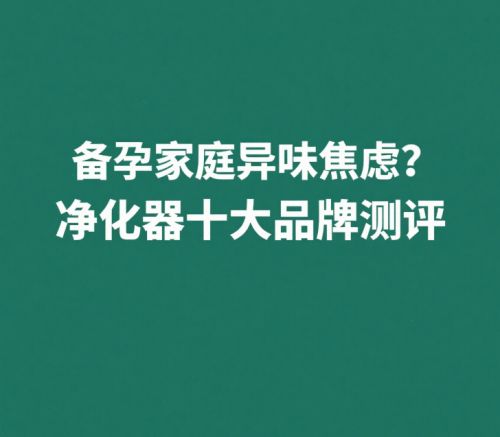 备孕家庭异味焦虑？除甲醛除烟味净化器十大品牌测评