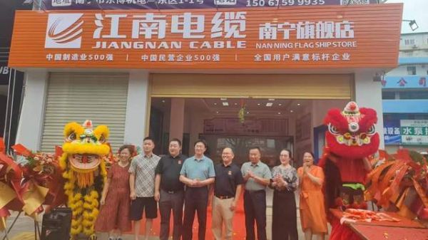 线通四海 质赢未来｜江南电缆亮相东盟博览会 擘画全球化发展新图景