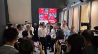 大王椰抢占“美”的制高点，引发木博会3万人“用脚投票”