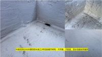 台风下的守护者：科顺润涂R302外露型防水涂料以“一次防水，一次就好”守护建筑安全！