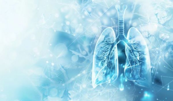 家庭用水如何避免军团菌?不锈钢水管一线品牌最新推荐来了