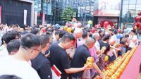 红蚂蚁集团新品预售燃爆国庆，新馆单店8天385份签单见证品质力量
