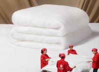 蚕丝被哪个牌子好？2025年高口碑蚕丝被品牌推荐，优质的双宫茧湖丝值得选！