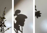 欧福莱净白价值体系响应5A新国标，引领品质升级