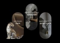 以“质感美学+5A标准”构建核心竞争力，加西亚质感砖开启双重复兴