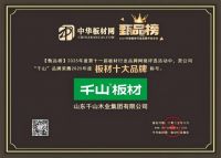 2025中国板材十大品牌选购指南，懂行的先看这几点!