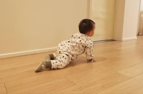 天格中国高端实木地板：童年的快乐应该被真诚守护